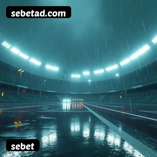 Estatísticas sebet novembro 2024 - 87 mil jogadores ativos, R$47M pagos, RTP 96.52%